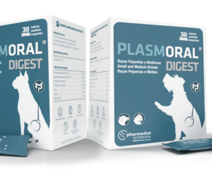 Plasmoral Digest