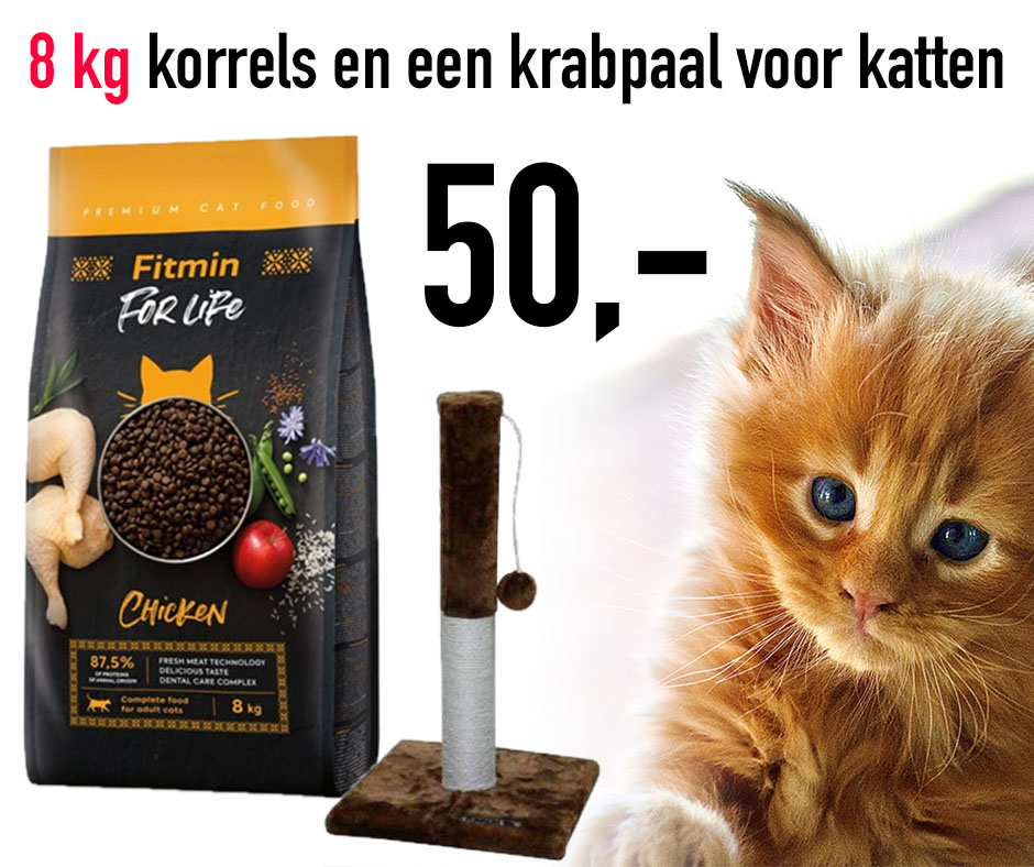 ACTIE: Voordeelpakketten voor katten 3
