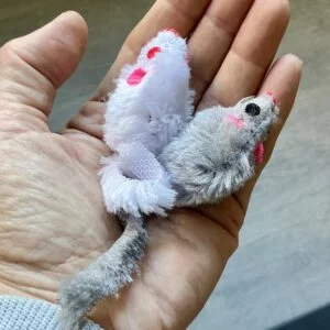 ACTIE: Voordeelpakketten voor katten 2