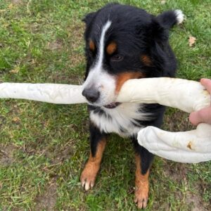 BRAVO-Xmas Candy Cane 30'' (75 cm)/ 550 g