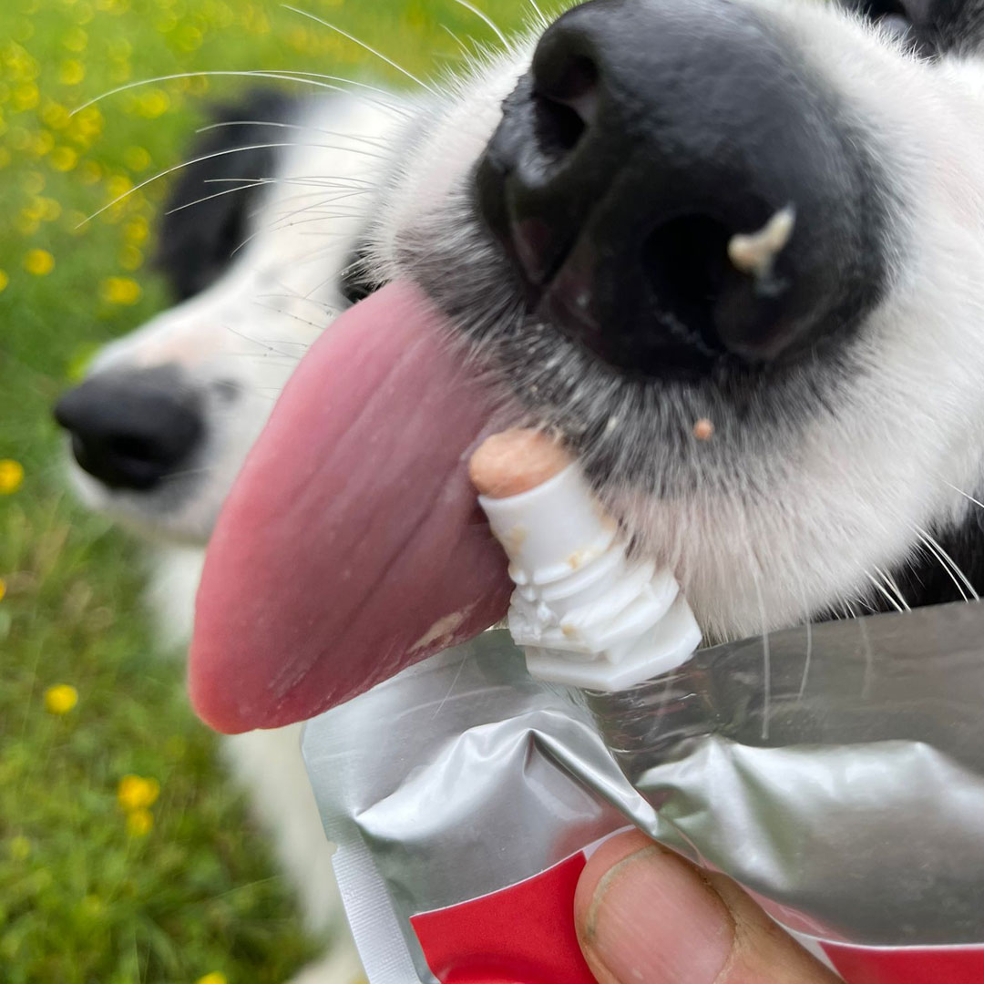 120g Yoggies paté - rund
