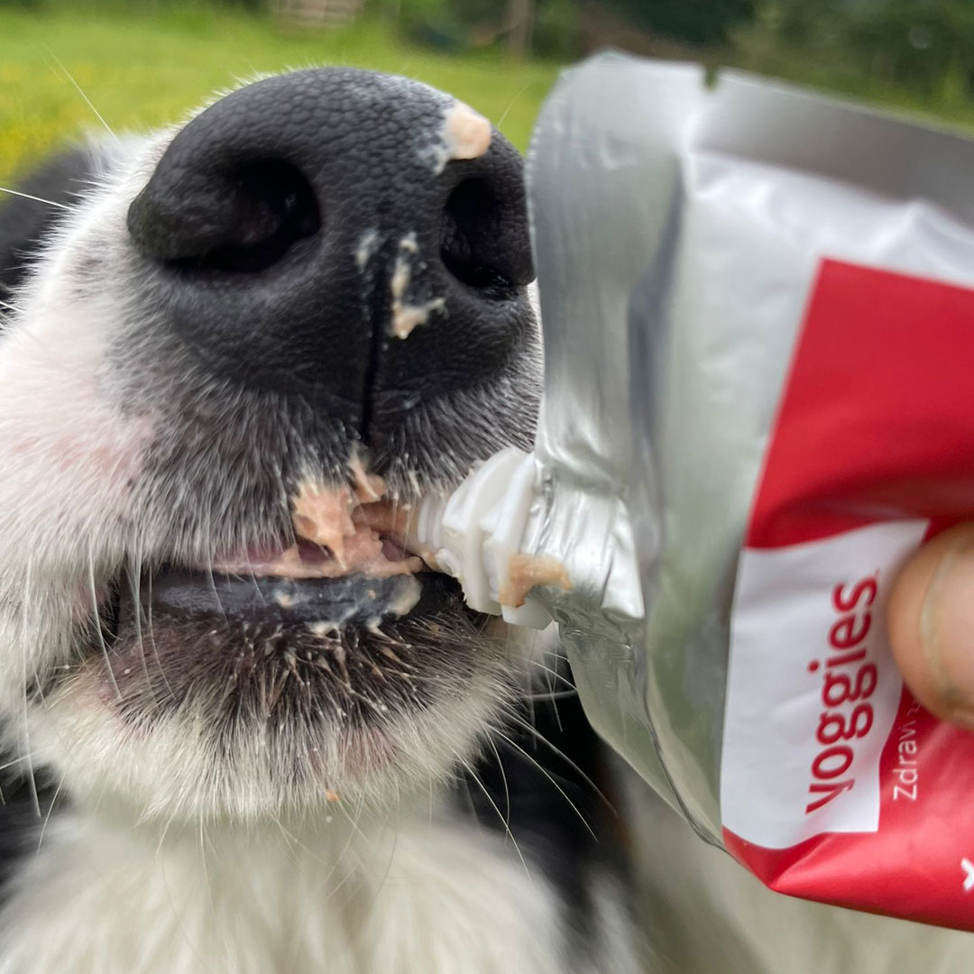 120g Yoggies paté - rund