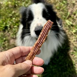 NIEUW - UZZI´s Kalkoen met pompoen